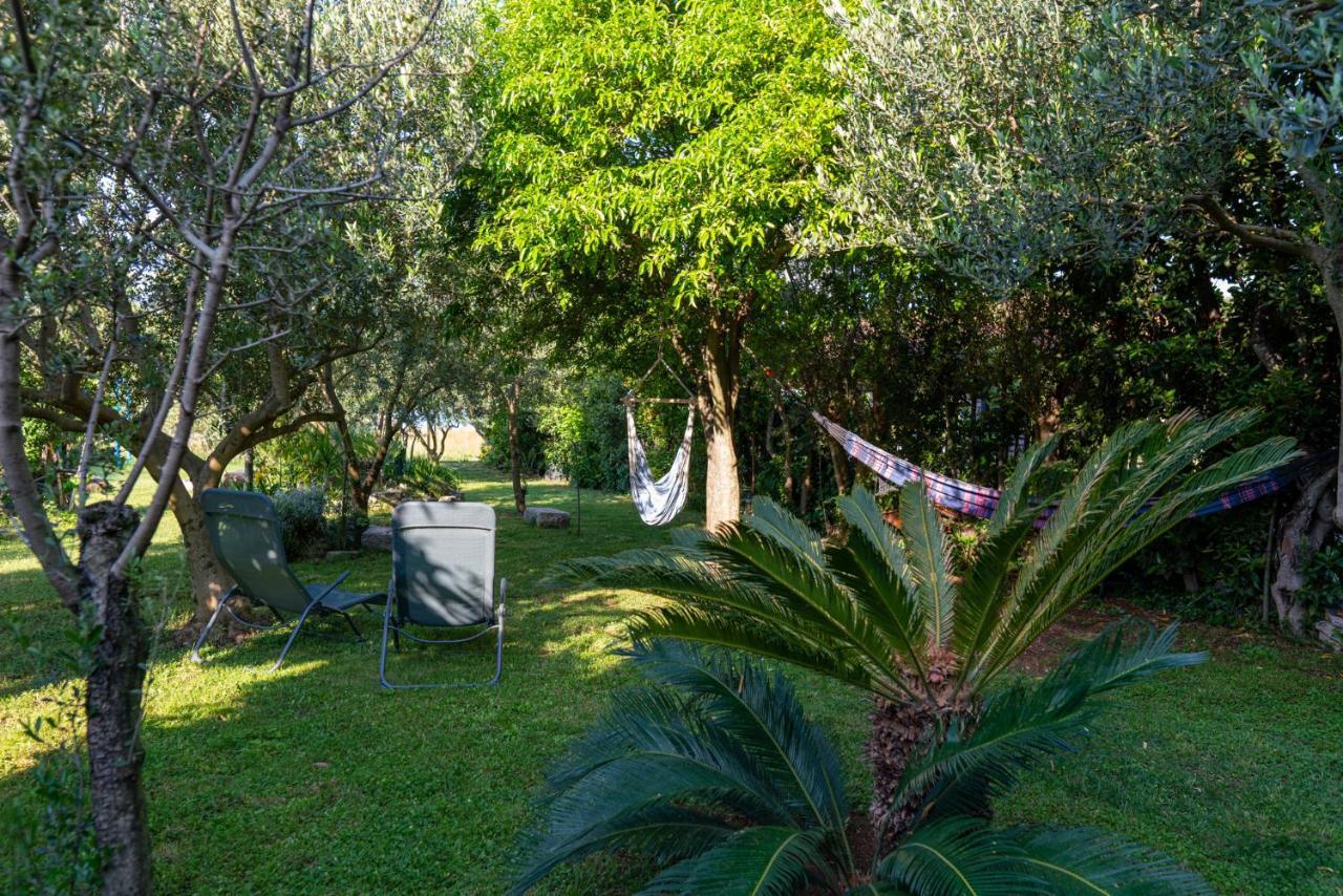 Maris Apartamento Sveti Filip i Jakov Exterior foto